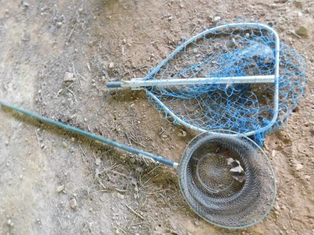 DSCN1252.JPG