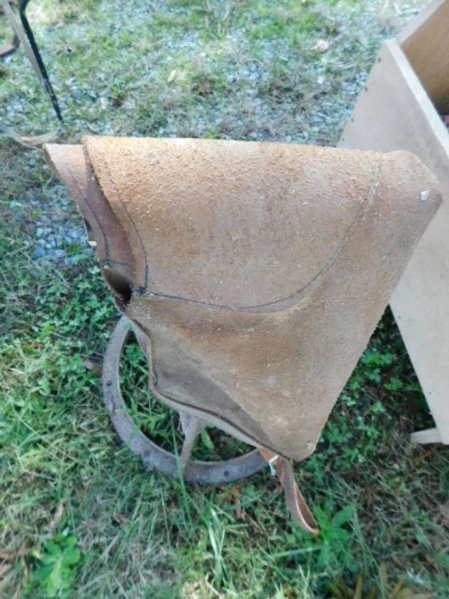 DSCN1264.JPG