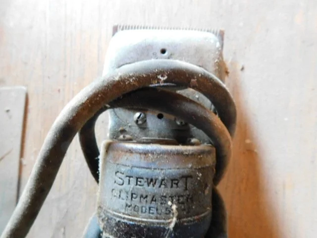 DSCN1279.JPG