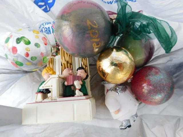 DSCN1318.JPG