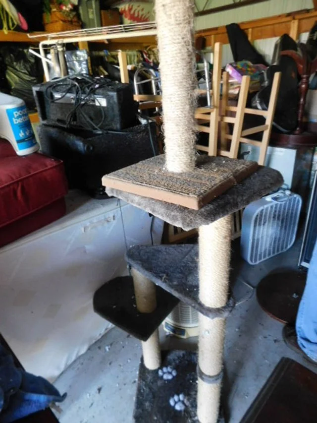 DSCN1337.JPG