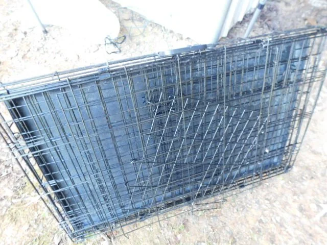 DSCN1373.JPG