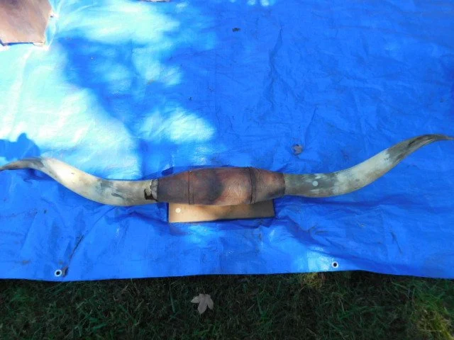 DSCN1524.JPG