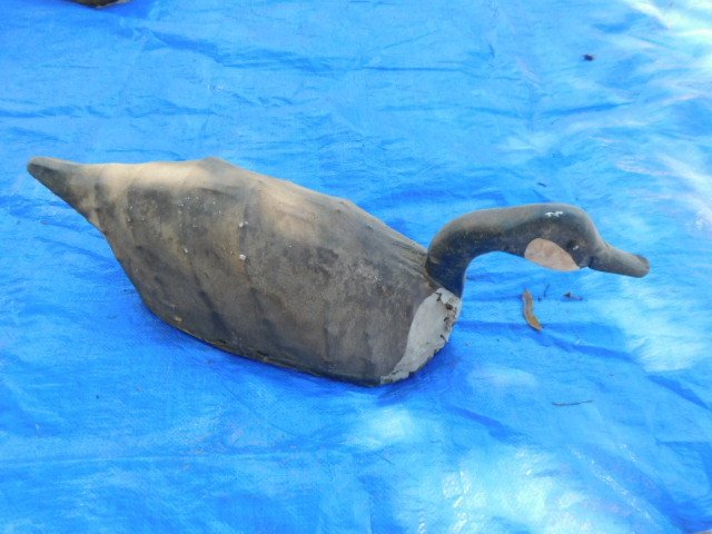 DSCN1527.JPG