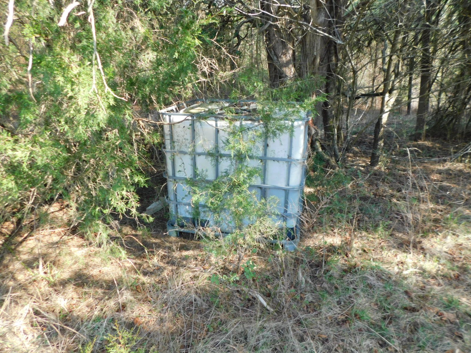 DSCN3997.JPG