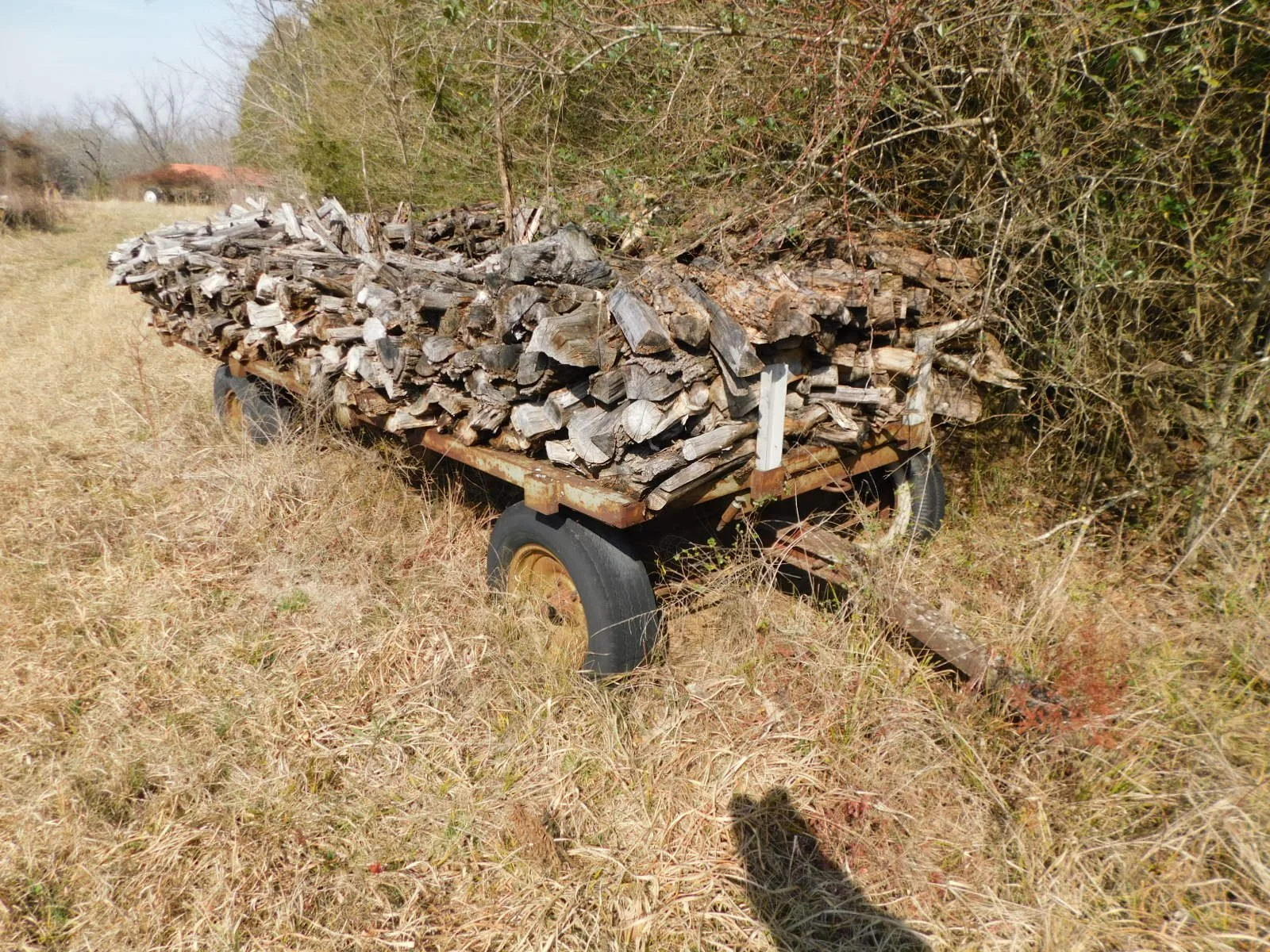 DSCN4001.JPG