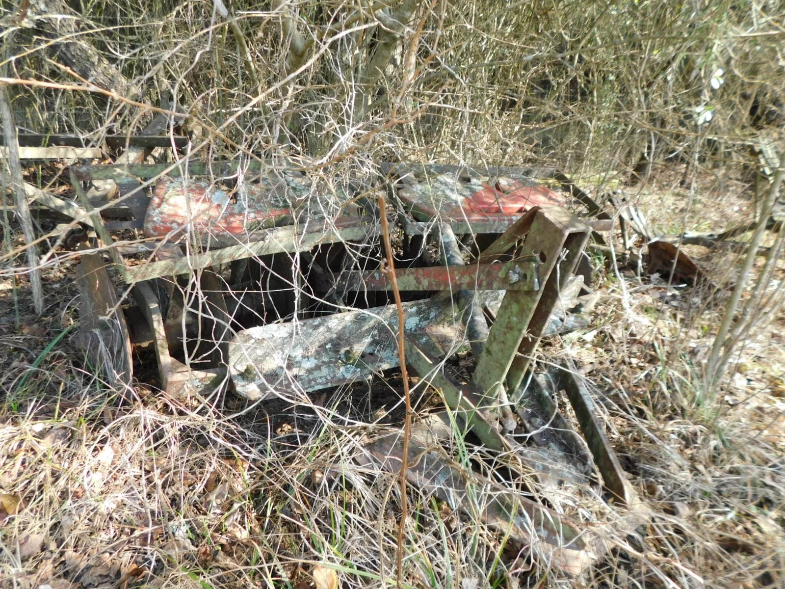 DSCN4006.JPG