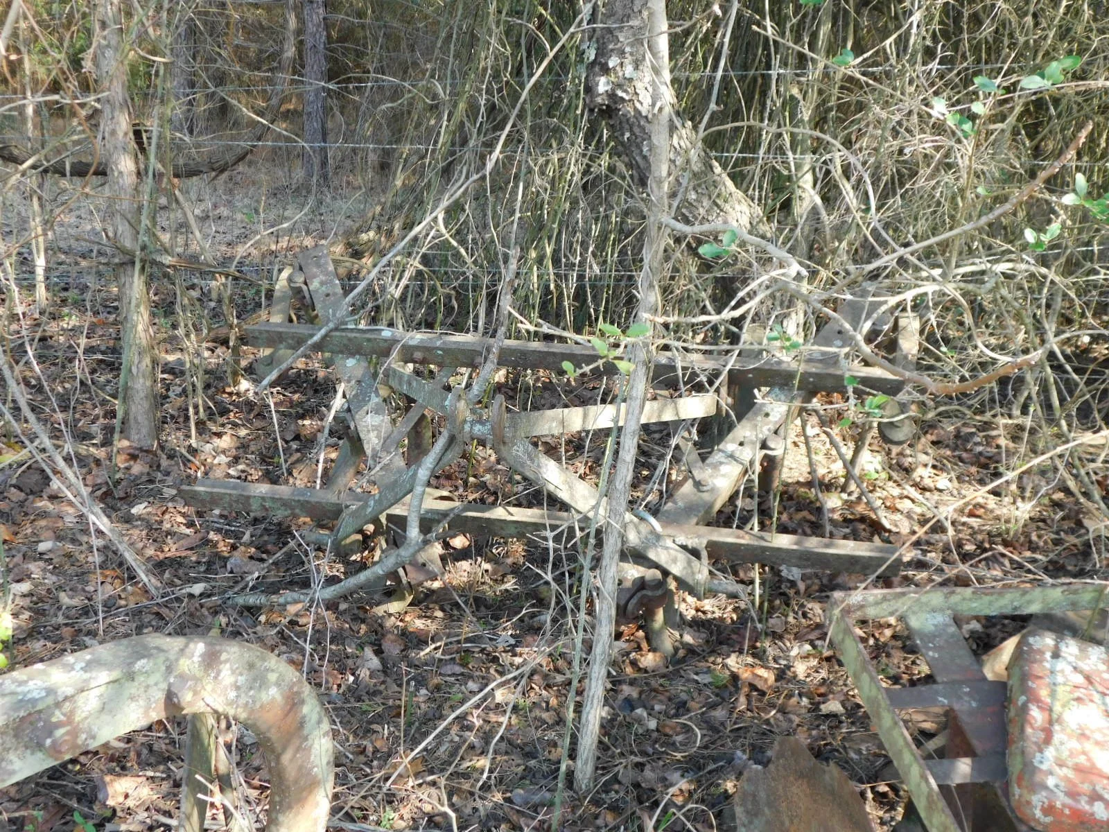 DSCN4007.JPG