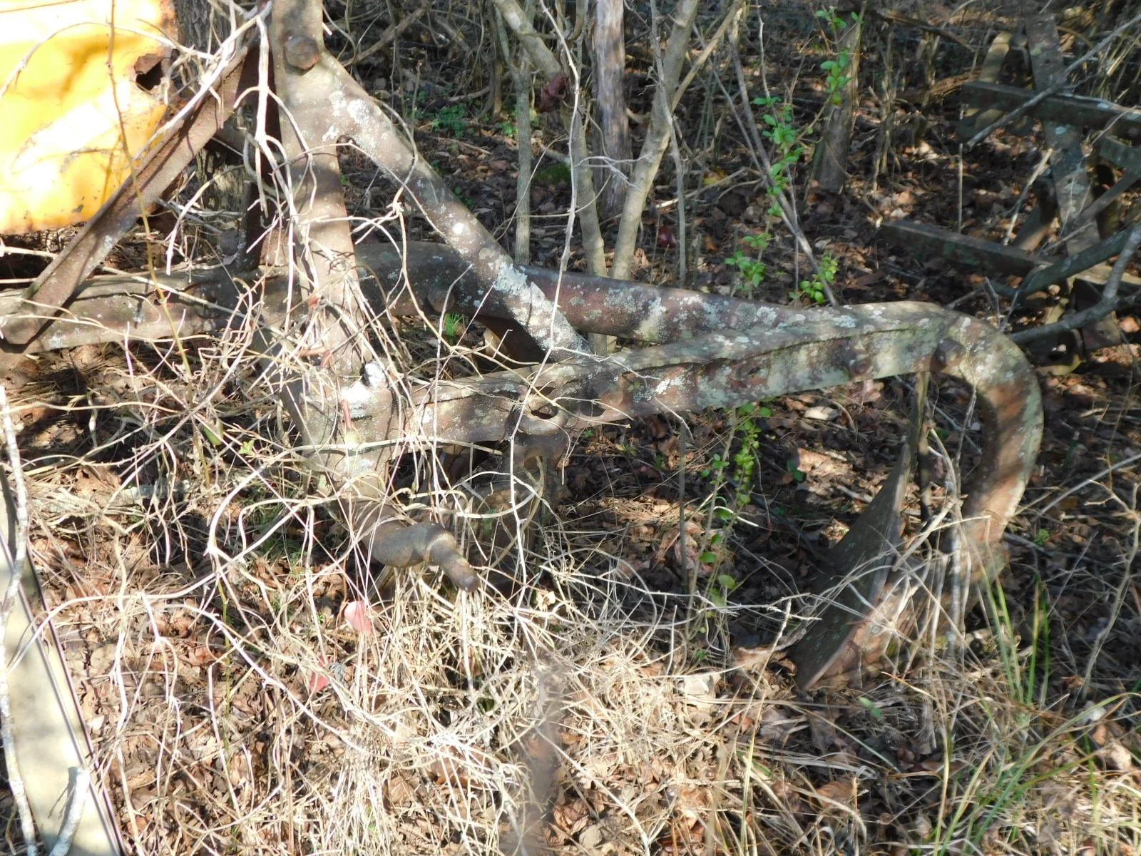 DSCN4008.JPG