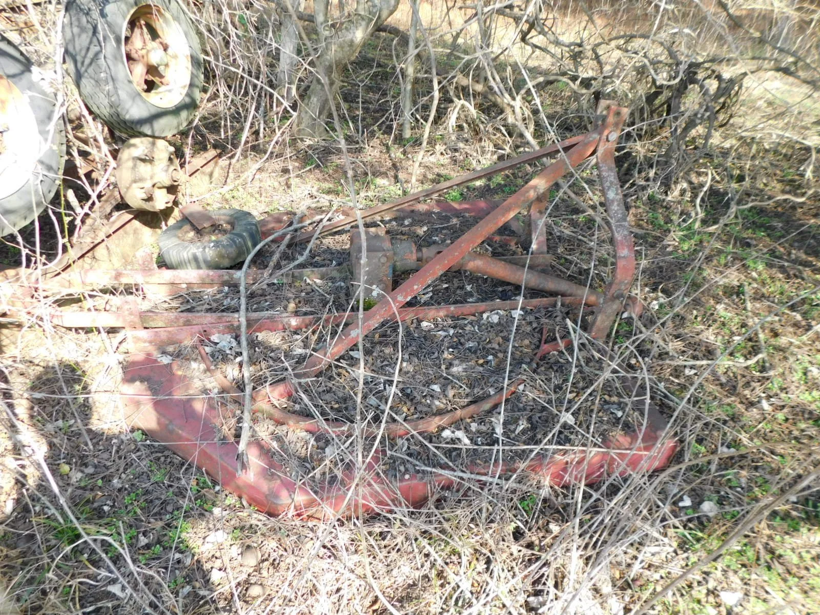 DSCN4013.JPG