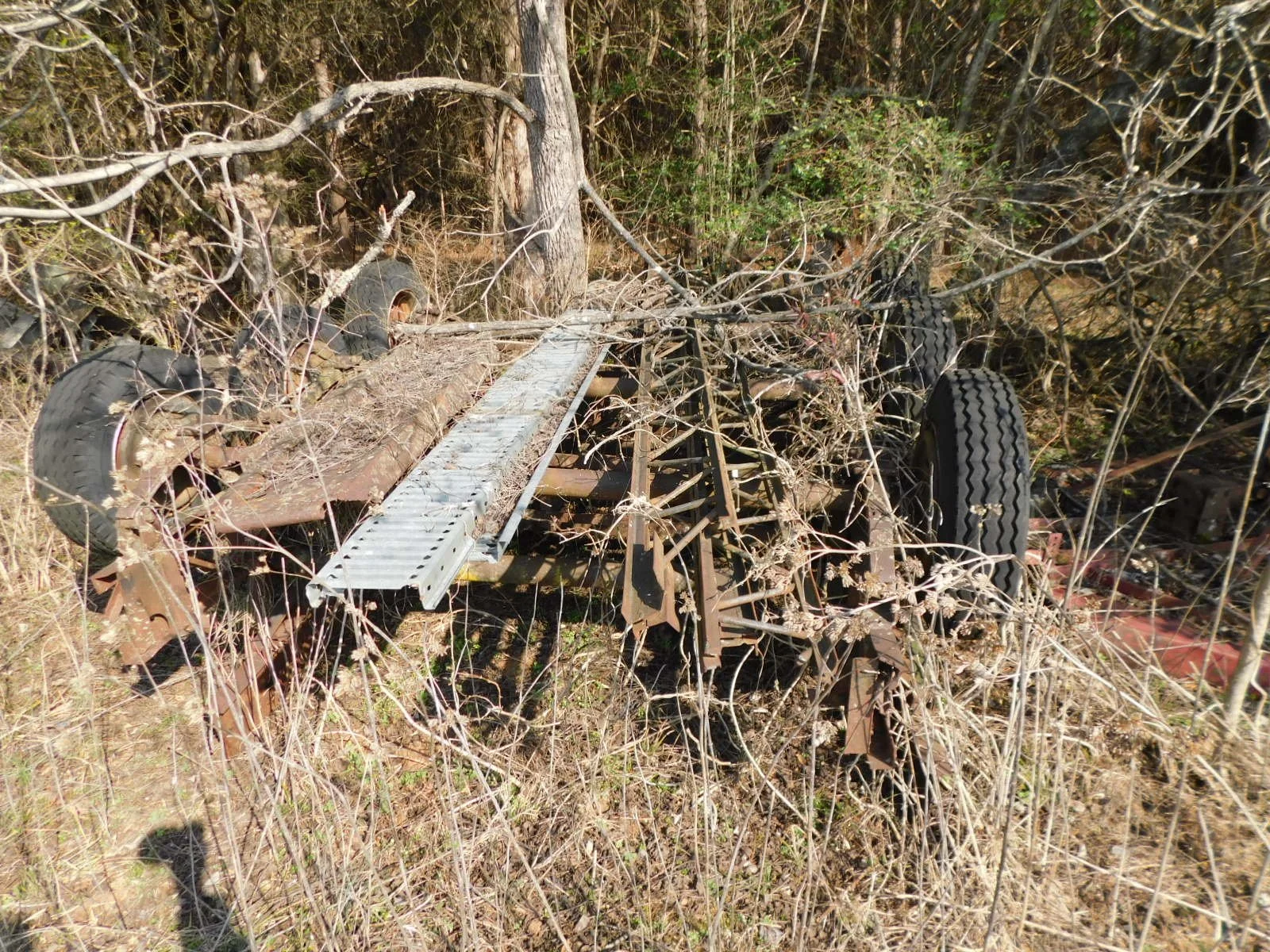 DSCN4014.JPG