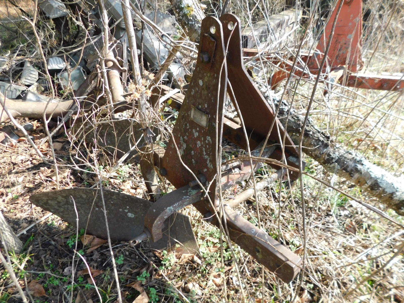 DSCN4019.JPG