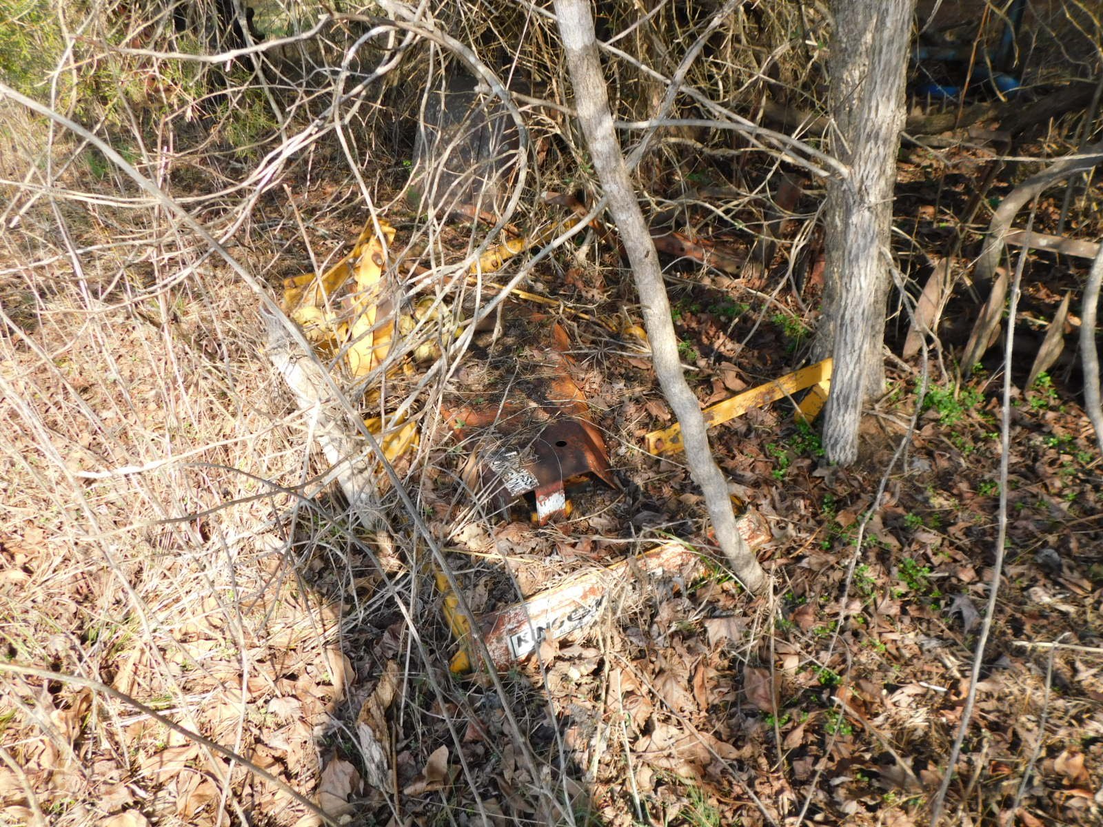 DSCN4021.JPG