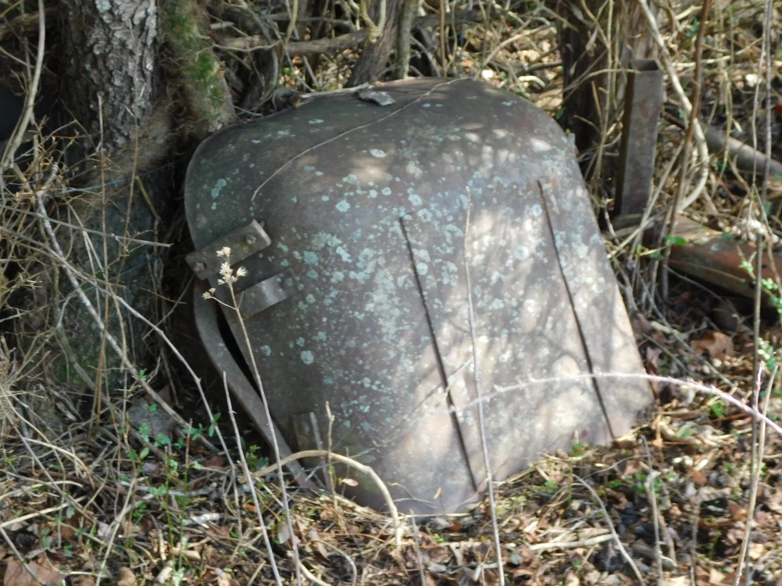 DSCN4023.JPG
