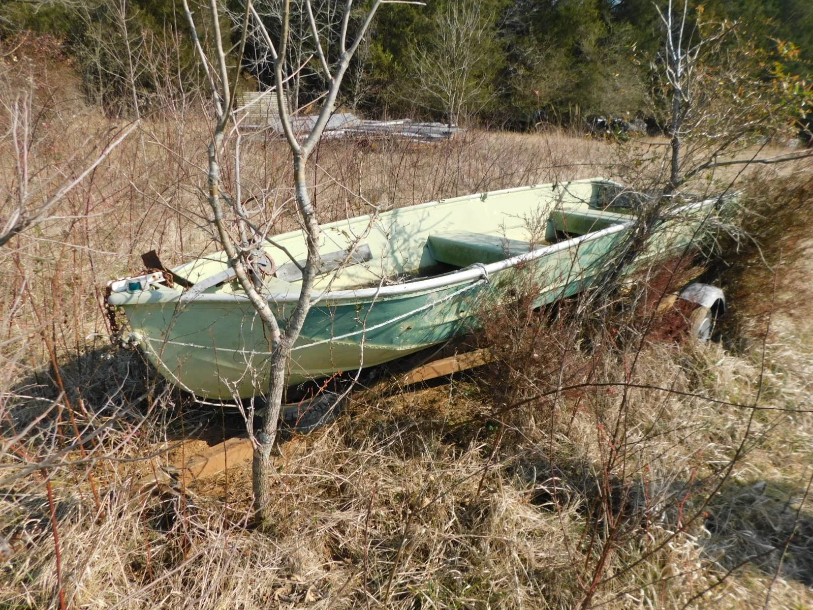 DSCN4029.JPG