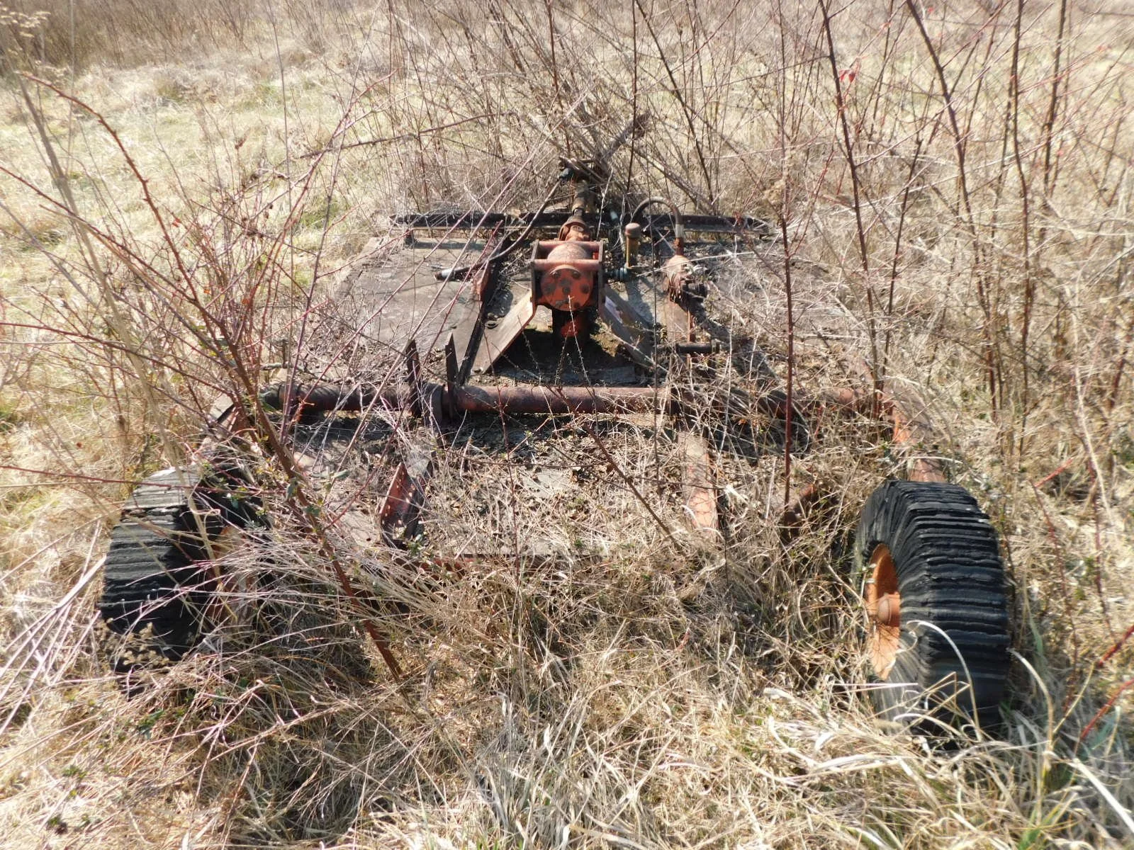 DSCN4030.JPG