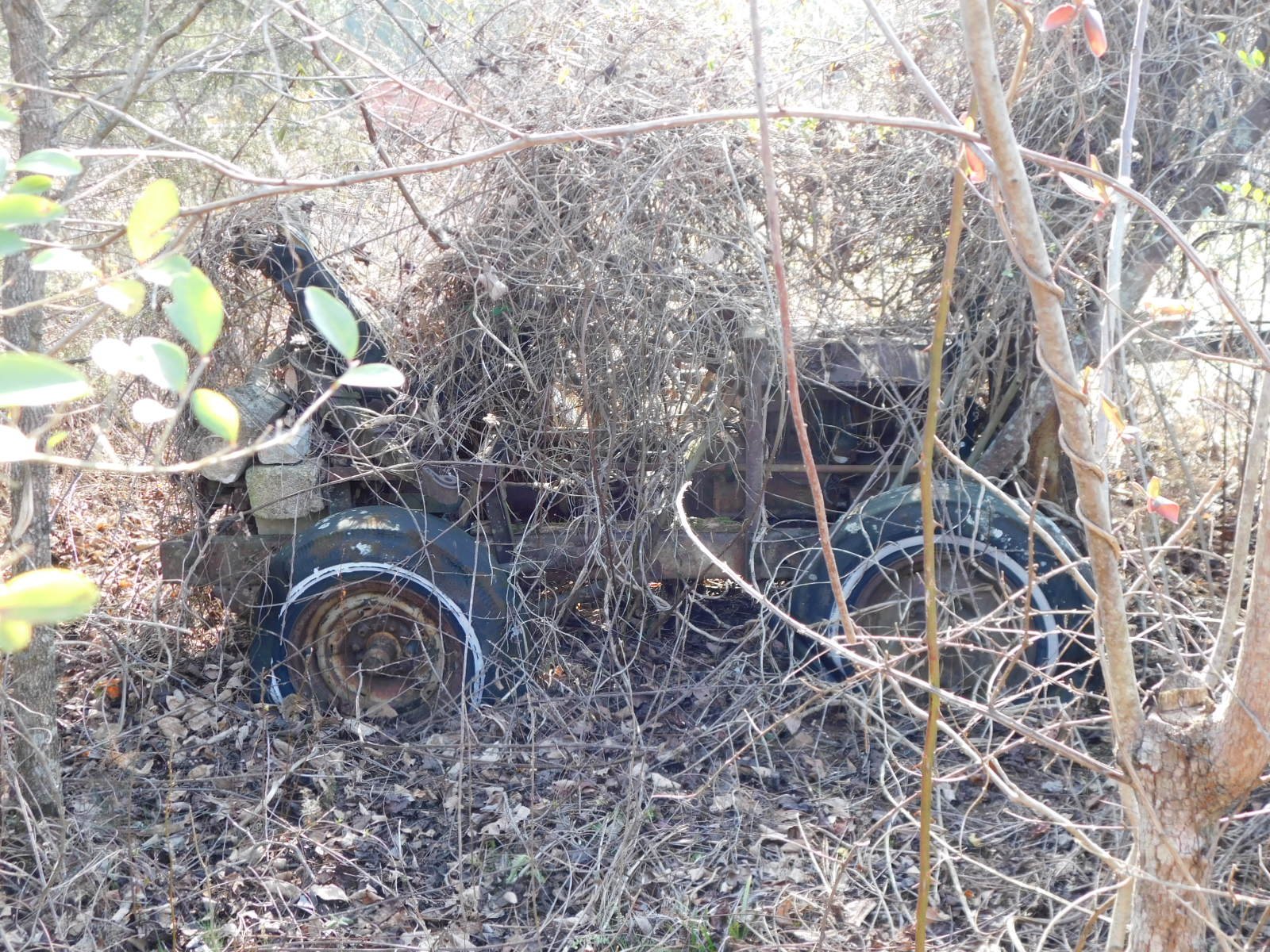 DSCN4050.JPG
