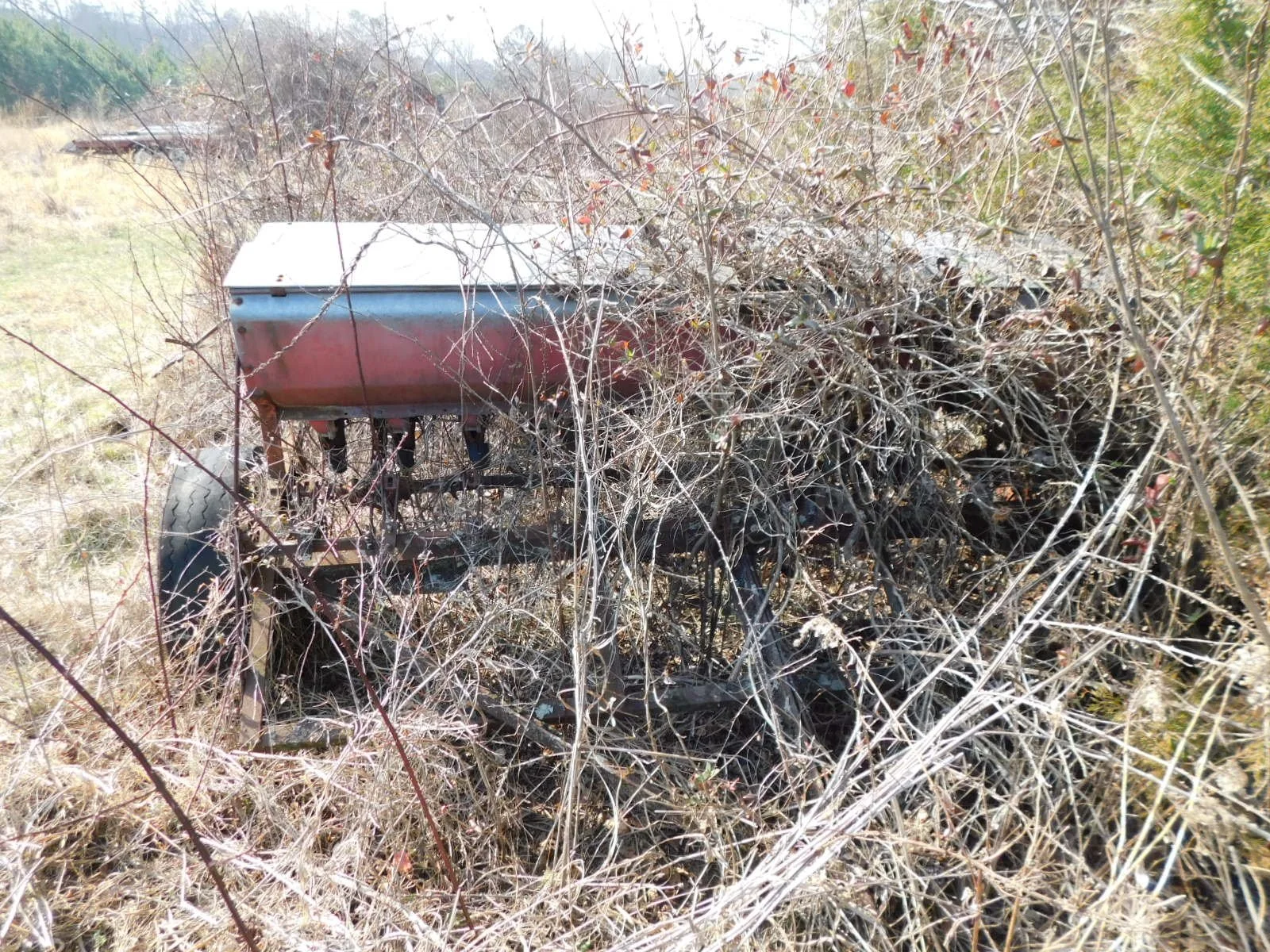 DSCN4053.JPG
