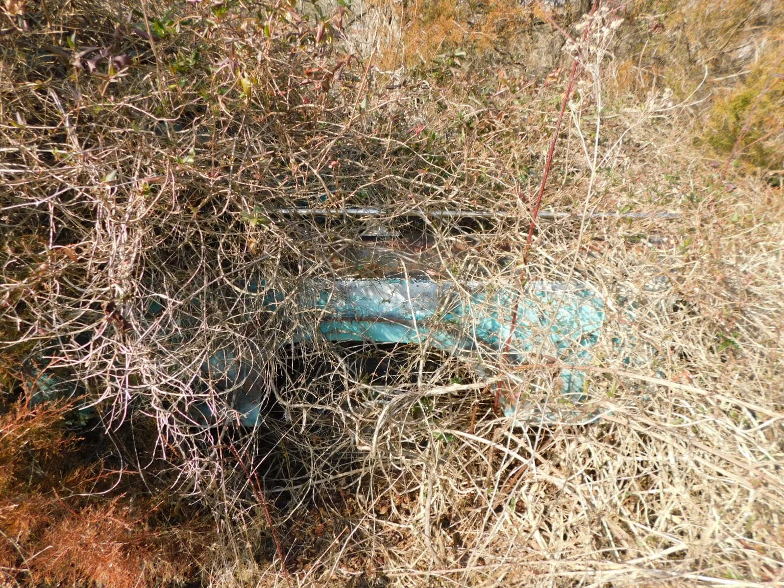 DSCN4055.JPG