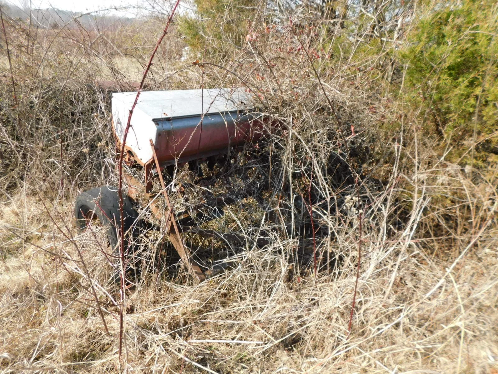 DSCN4057.JPG