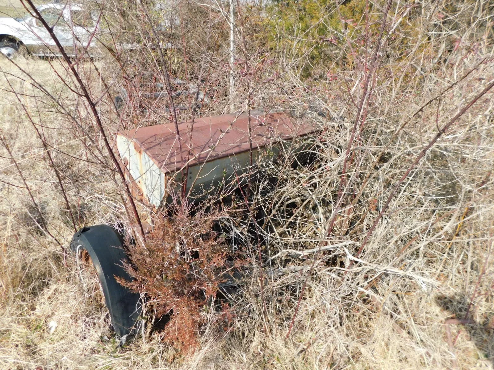 DSCN4058.JPG