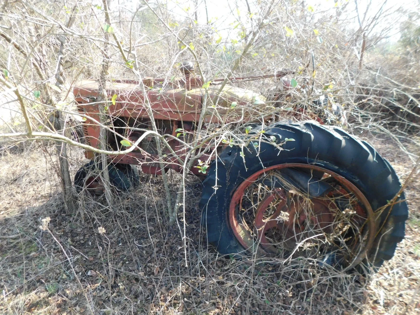 DSCN4061.JPG
