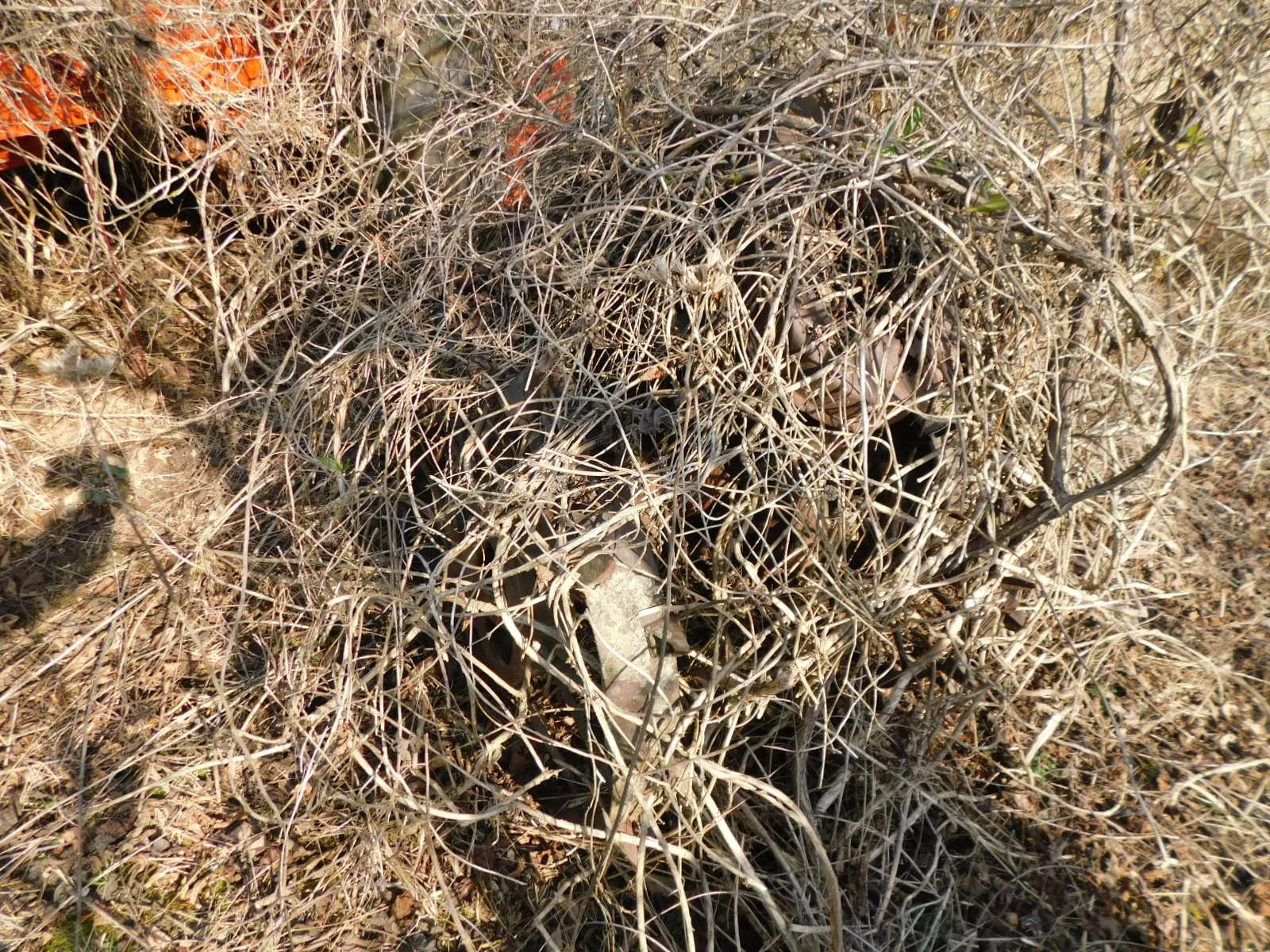 DSCN4063.JPG