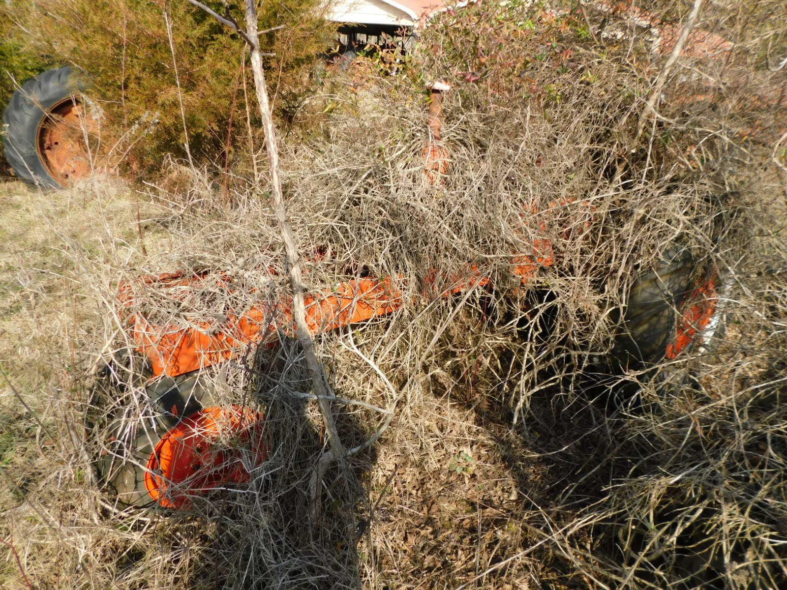 DSCN4064.JPG