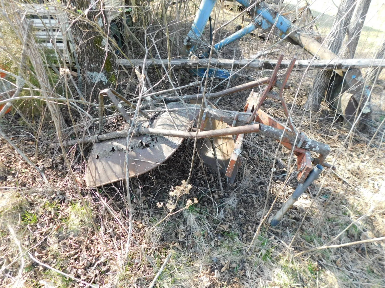 DSCN4065.JPG