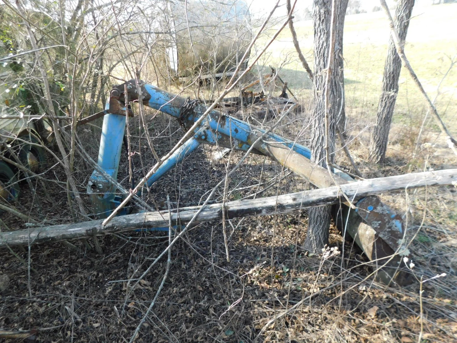 DSCN4066.JPG