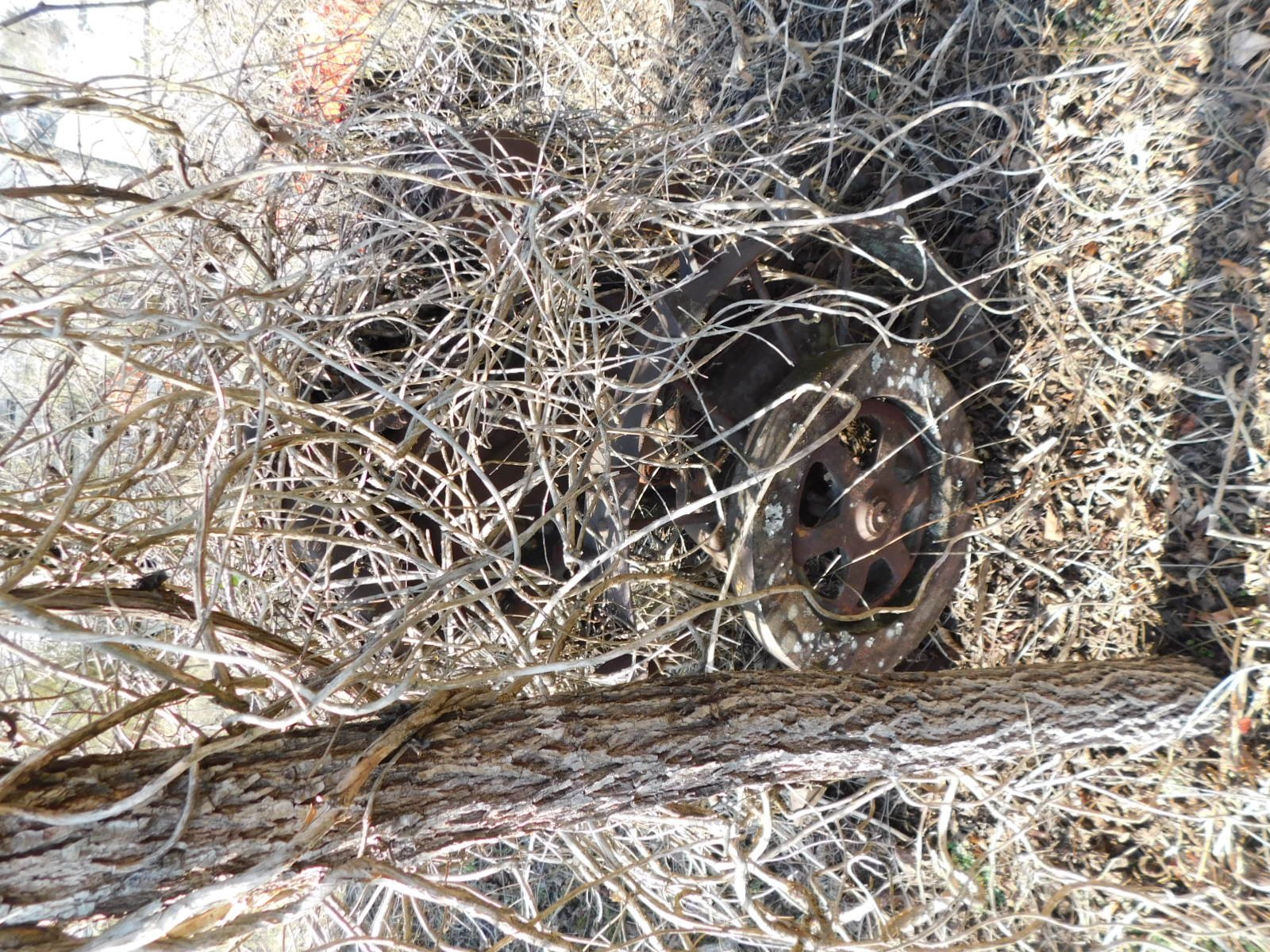 DSCN4072.JPG