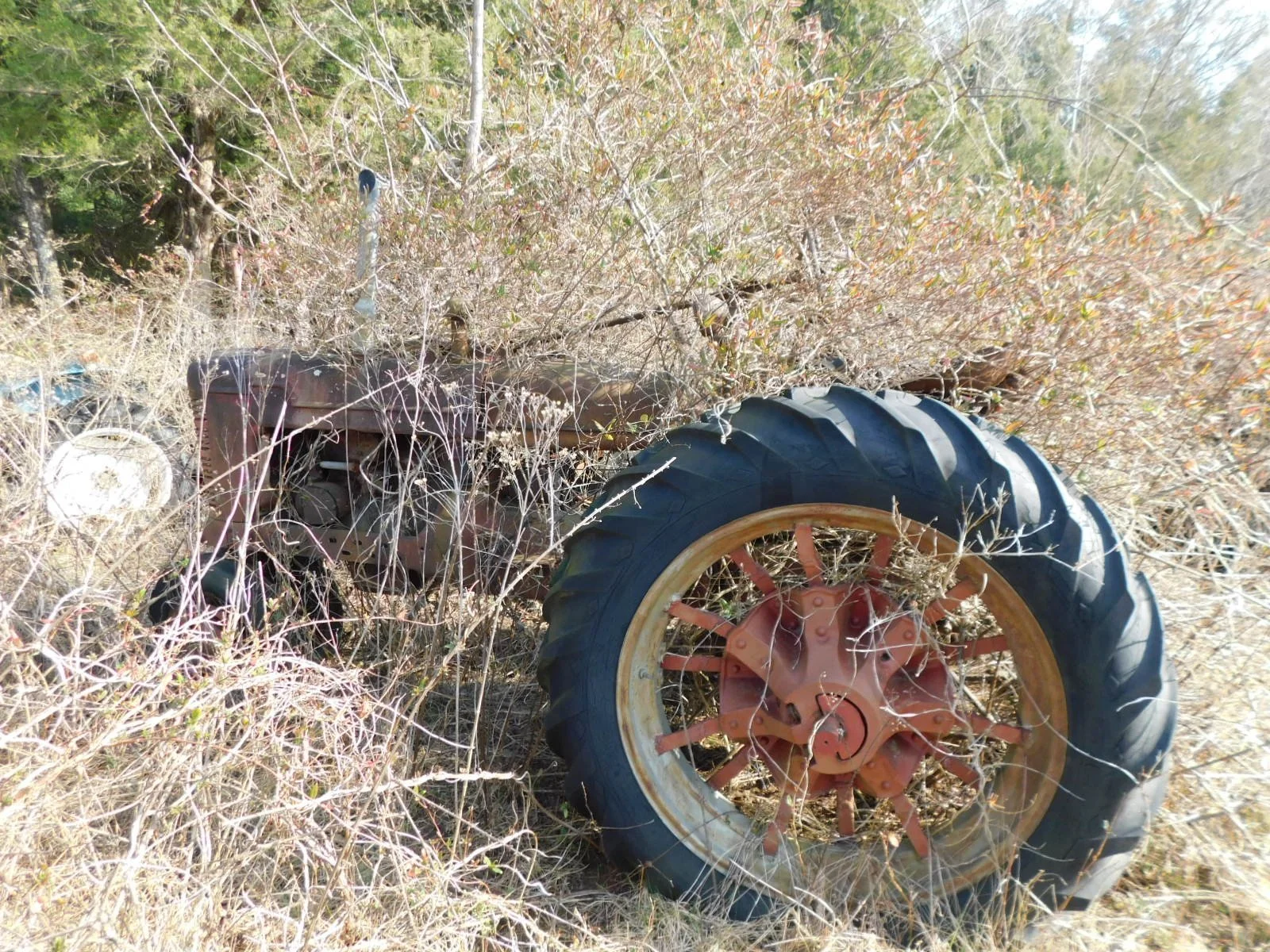 DSCN4075.JPG
