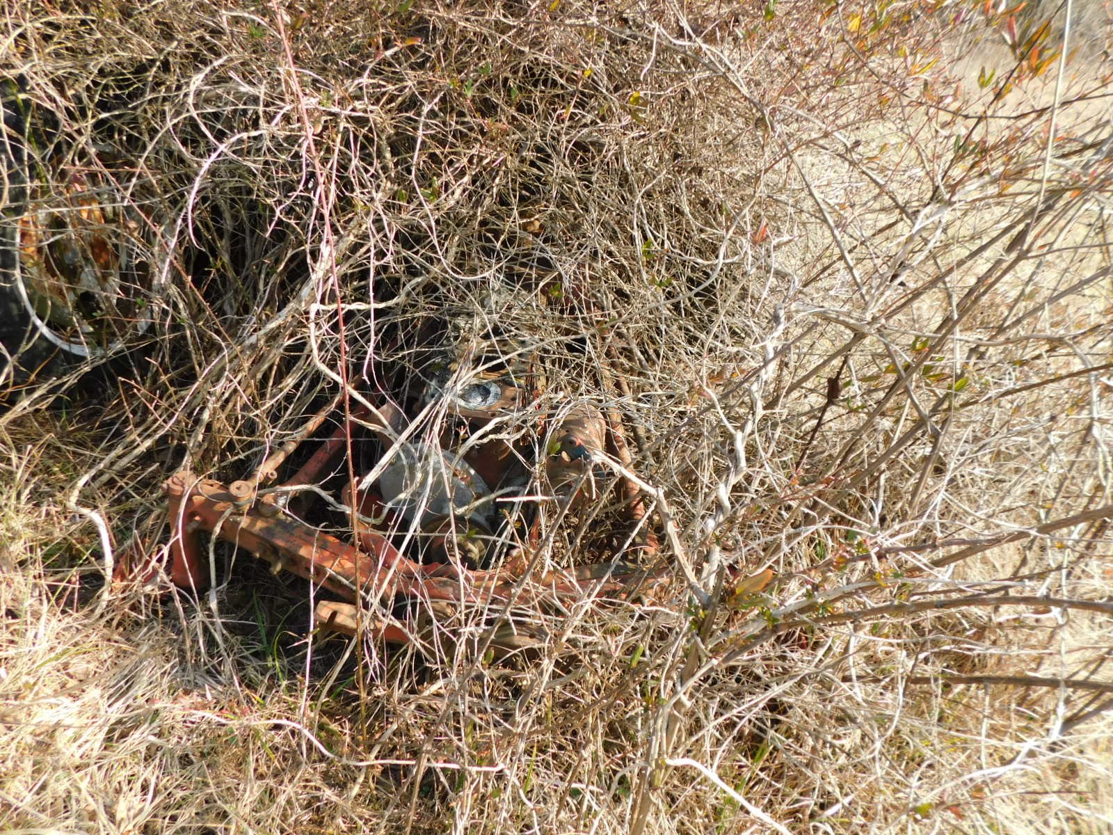 DSCN4076.JPG