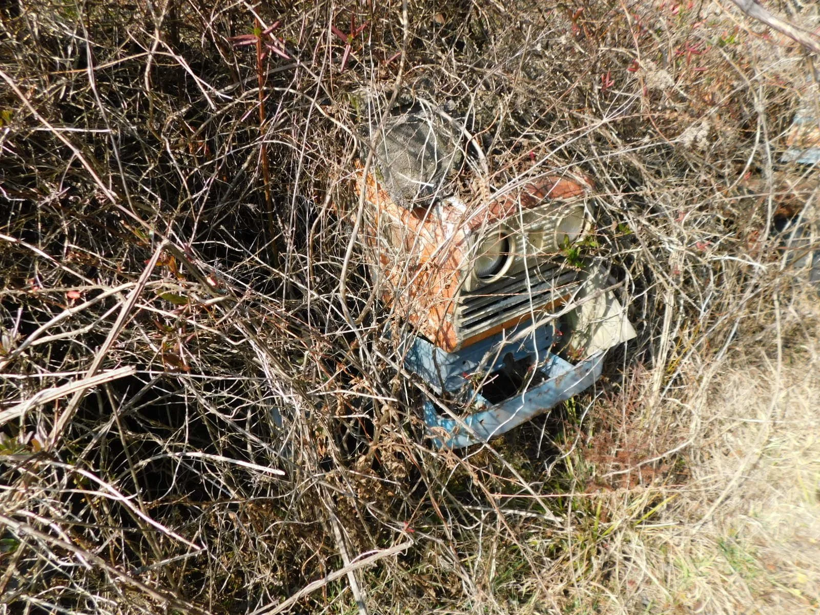 DSCN4078.JPG