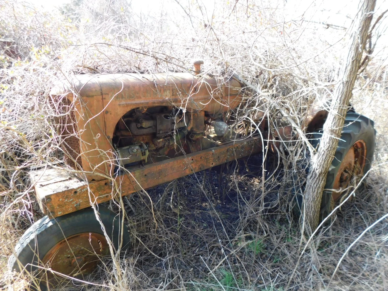 DSCN4079.JPG