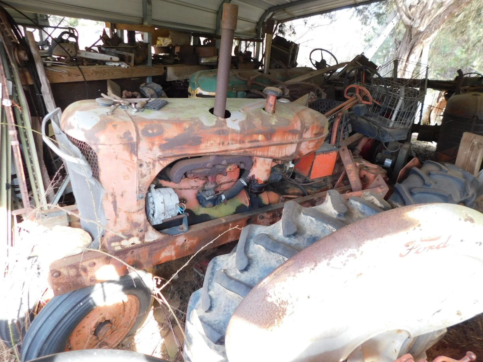 DSCN4103.JPG