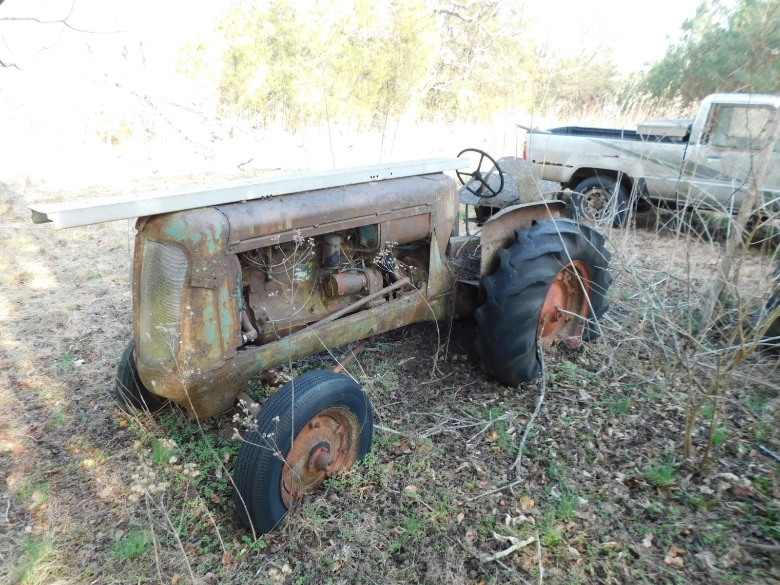 DSCN4113.JPG