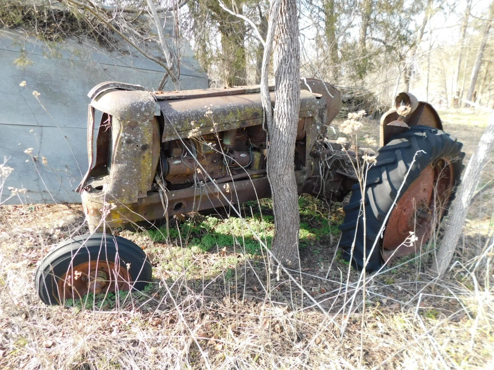 DSCN4119.JPG