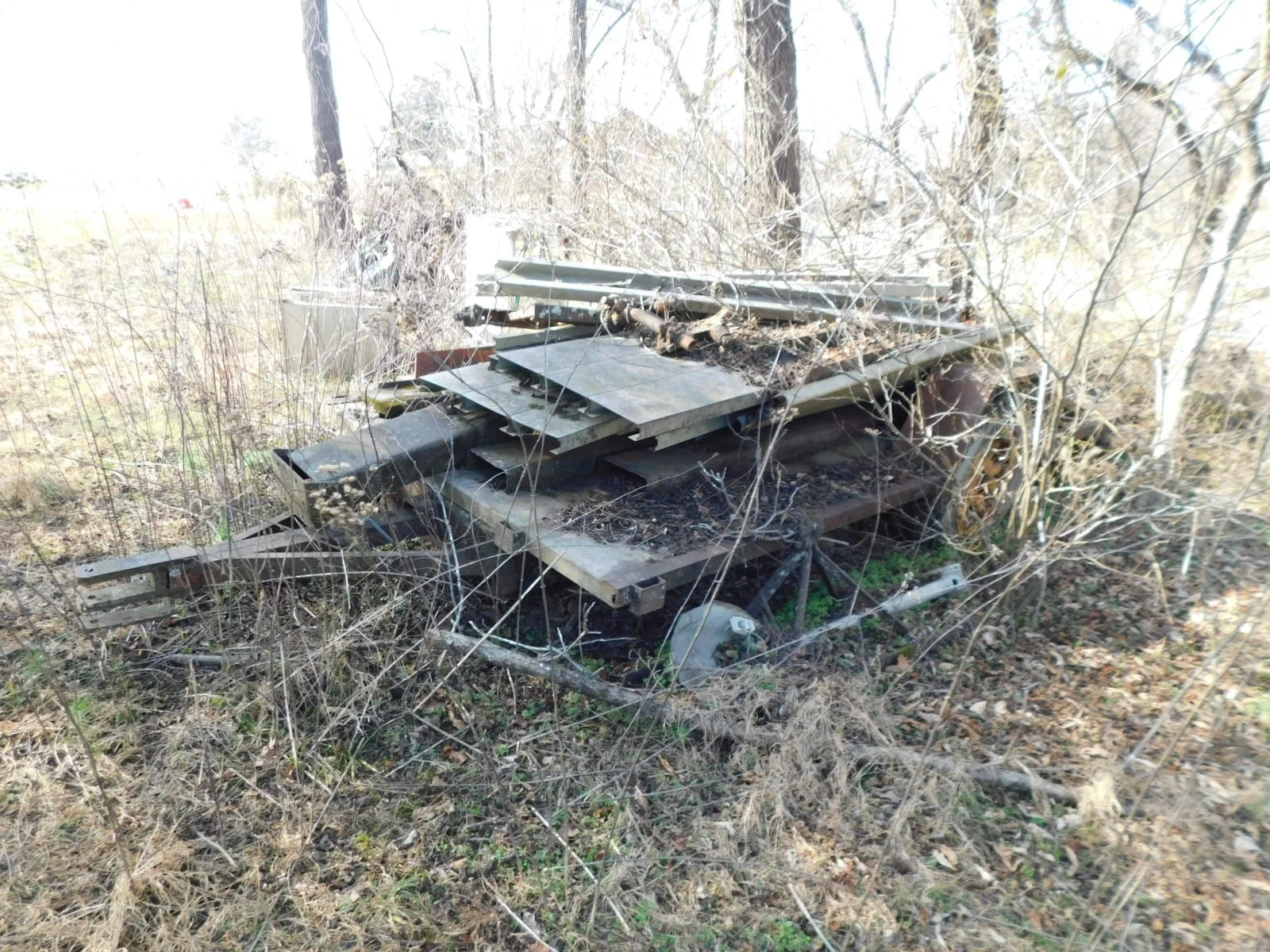 DSCN4130.JPG