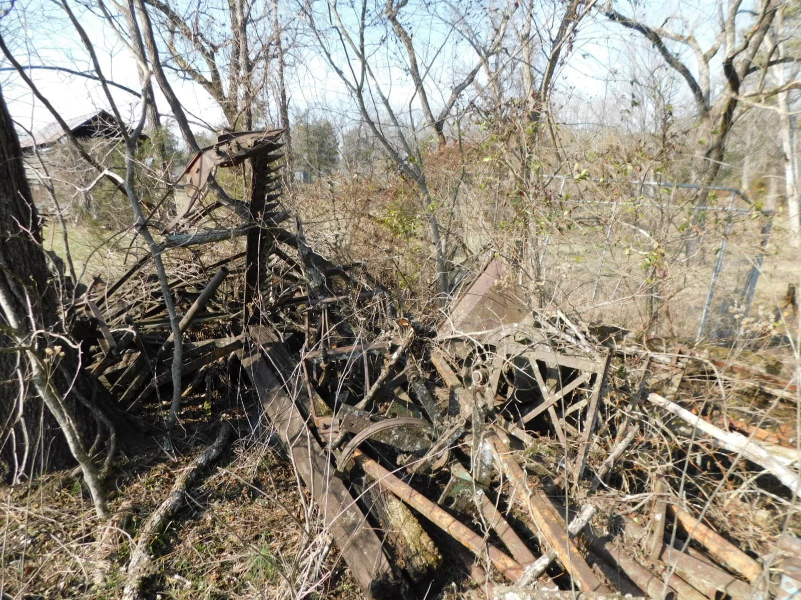 DSCN4134.JPG