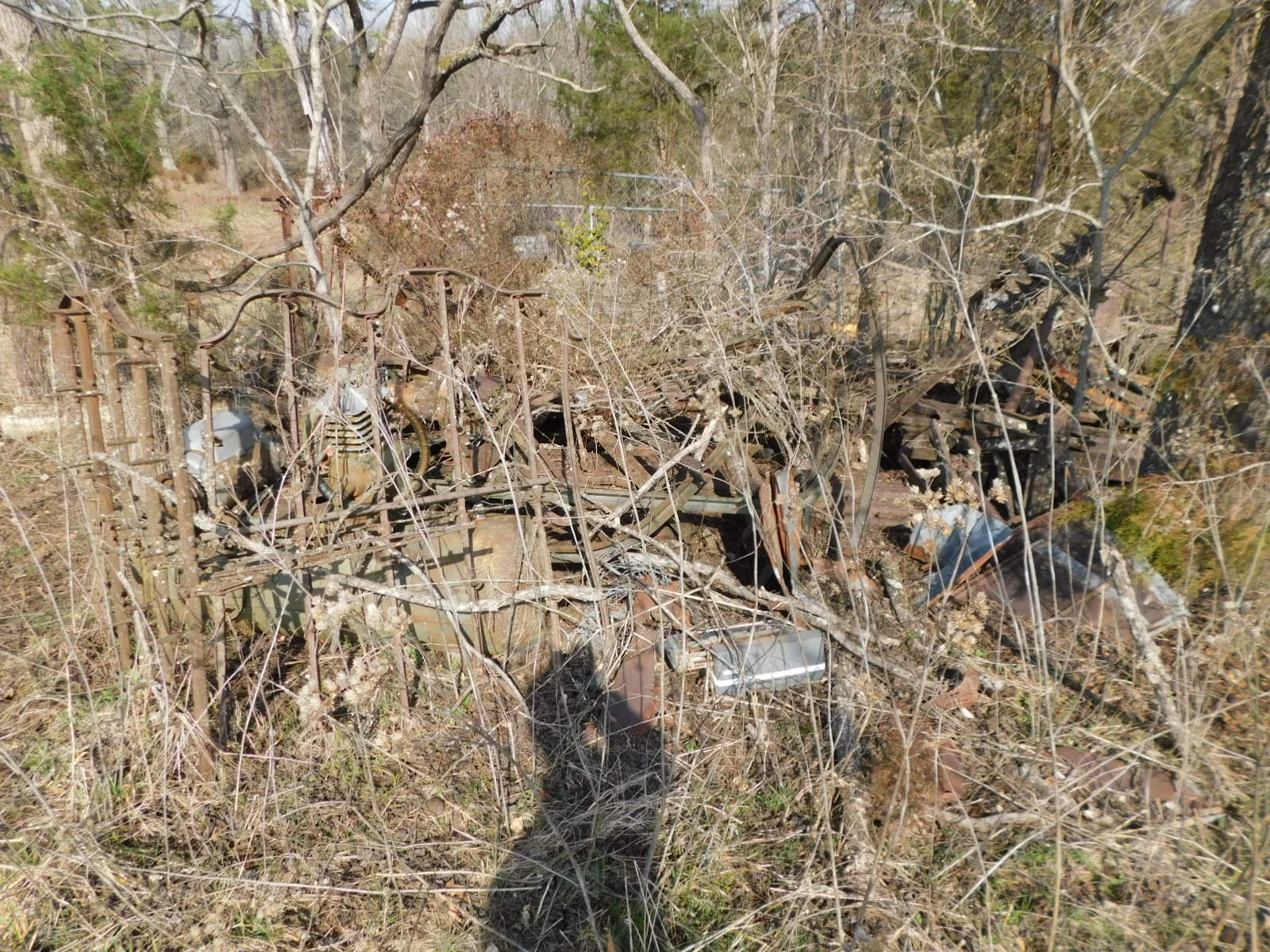 DSCN4135.JPG