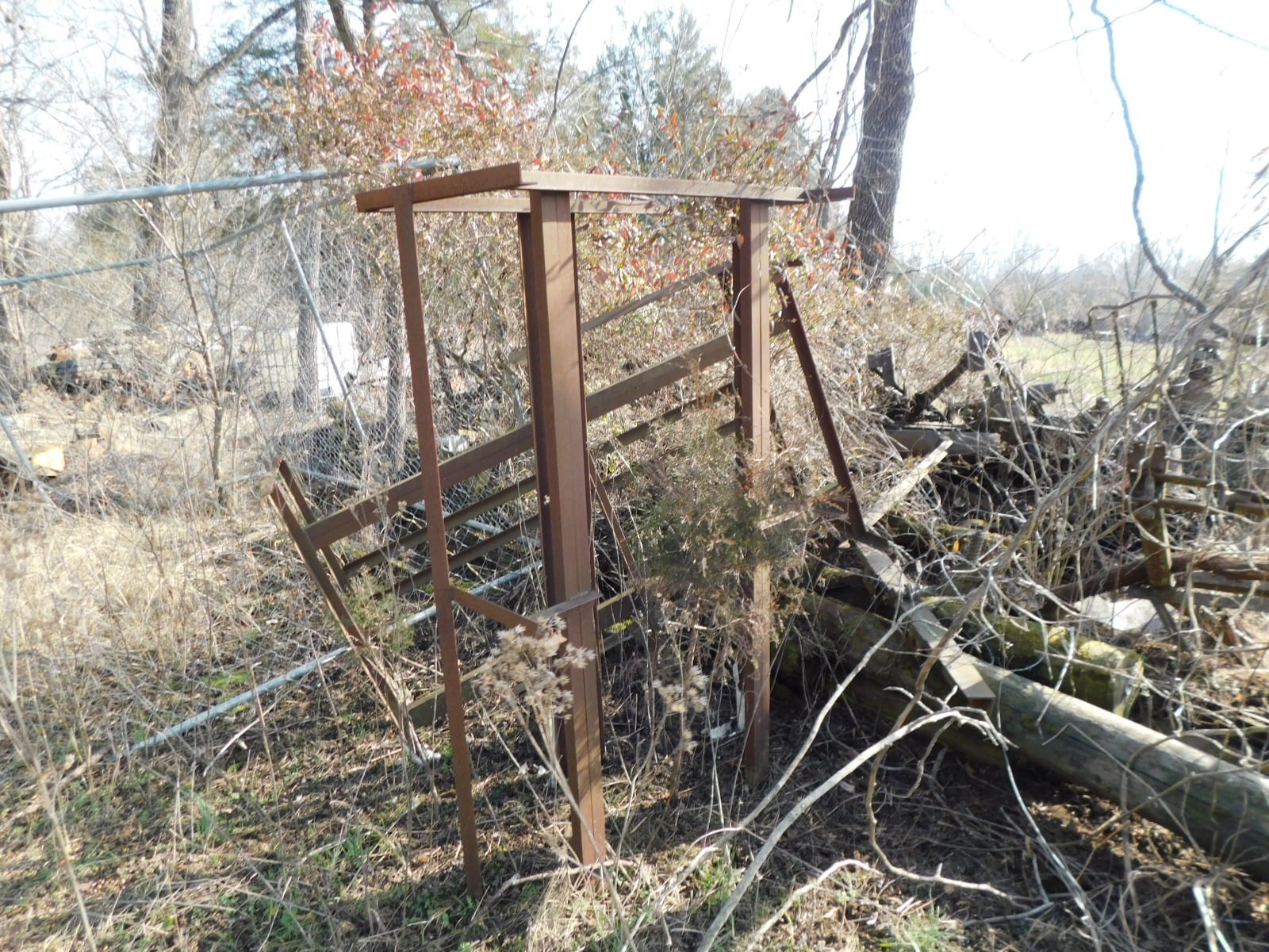 DSCN4137.JPG