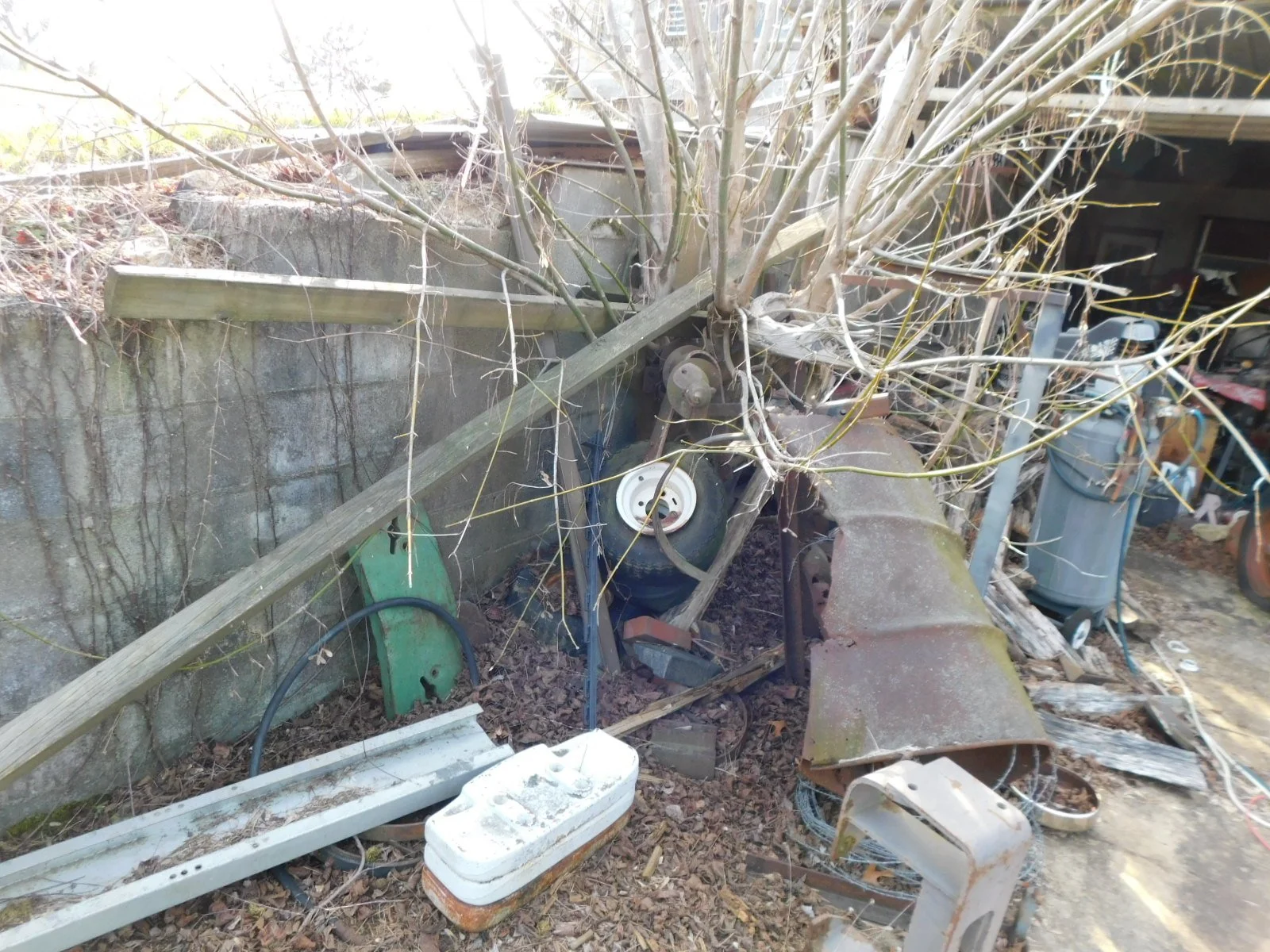 DSCN4172.JPG