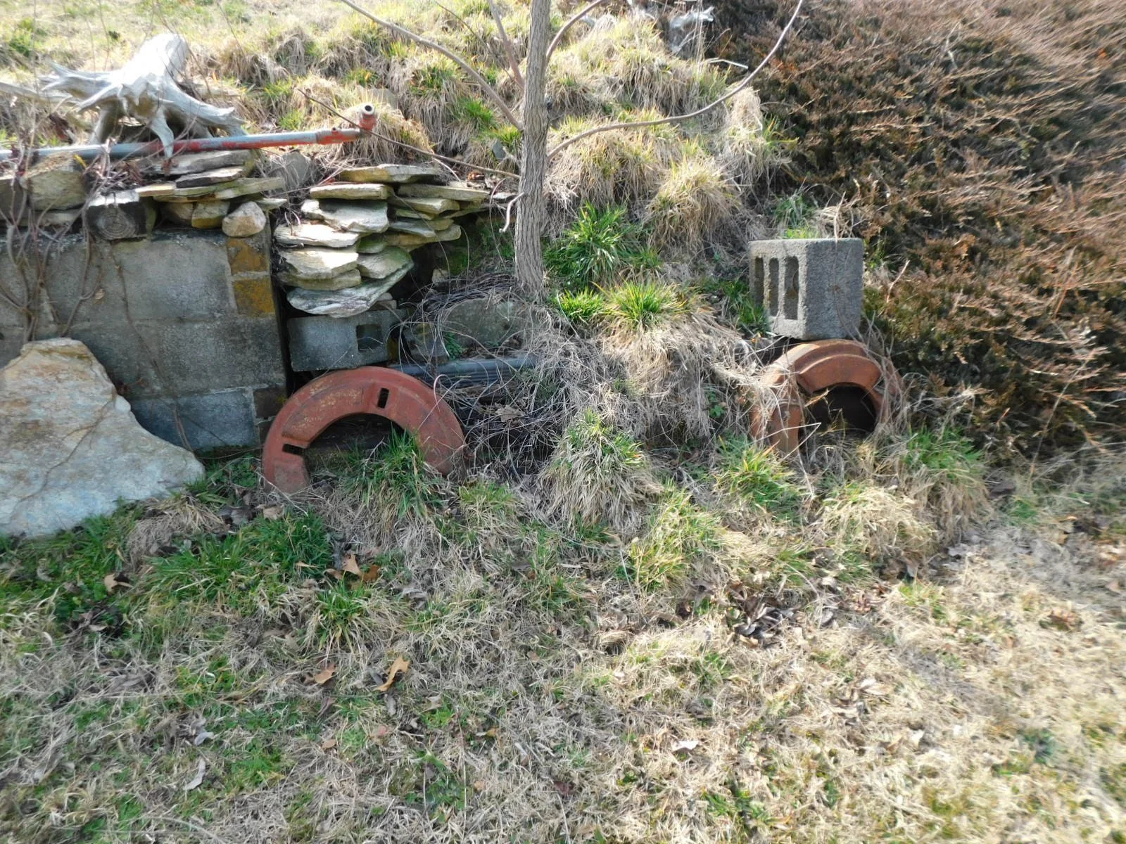 DSCN4213.JPG