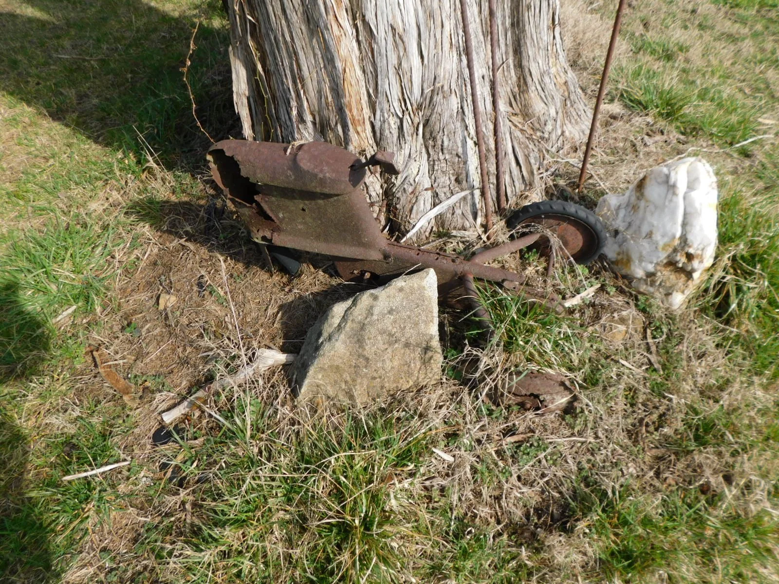 DSCN4244.JPG