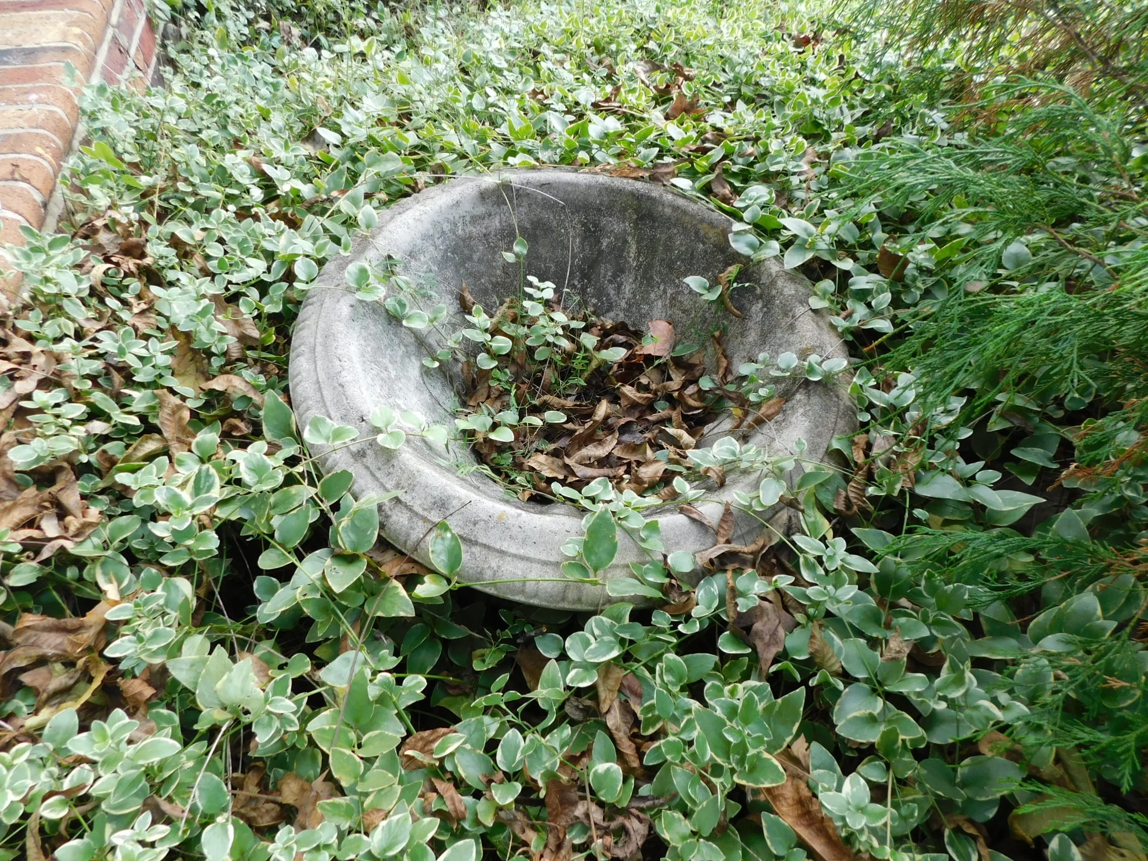 DSCN2861.JPG