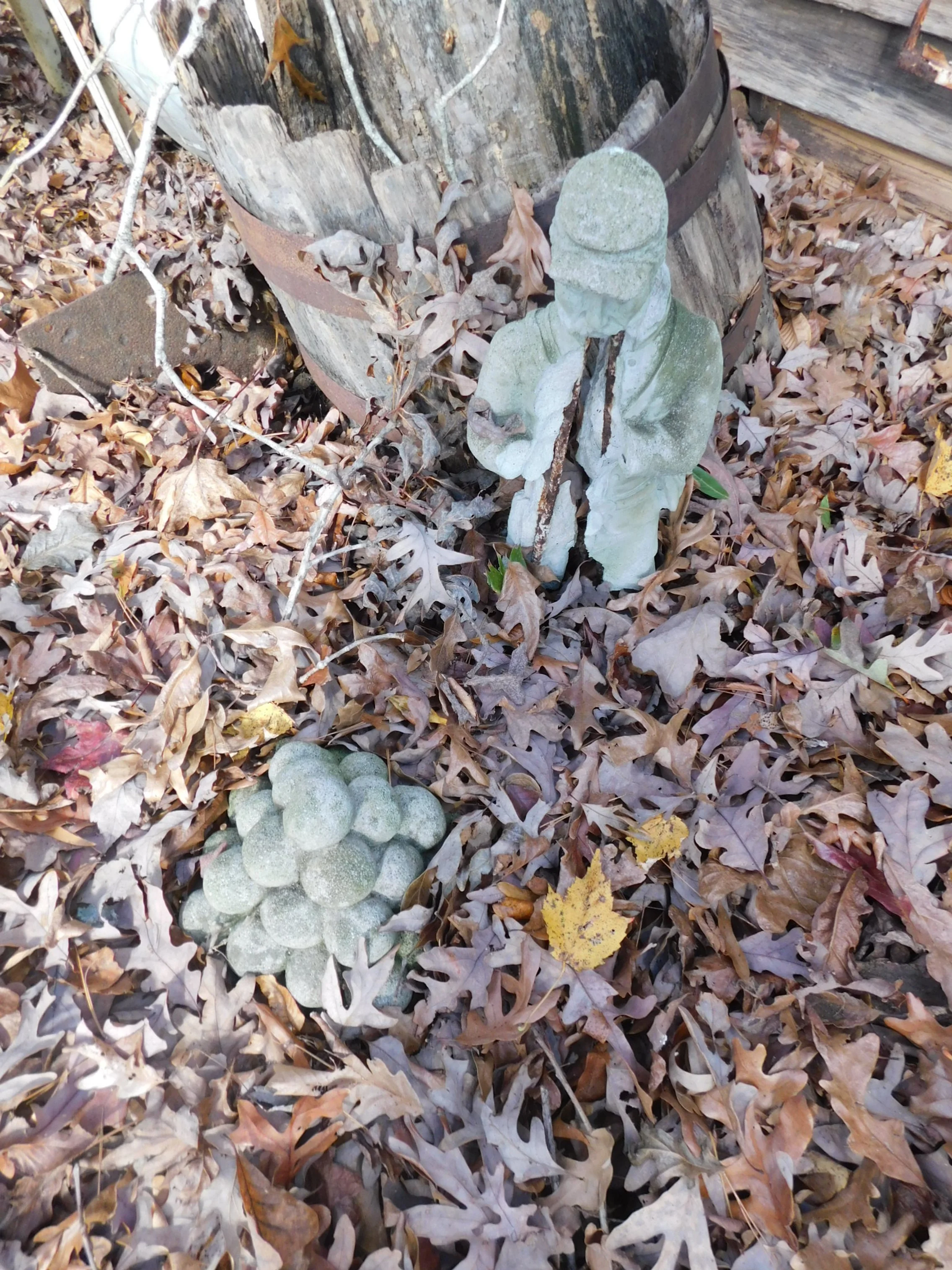 DSCN3016.JPG