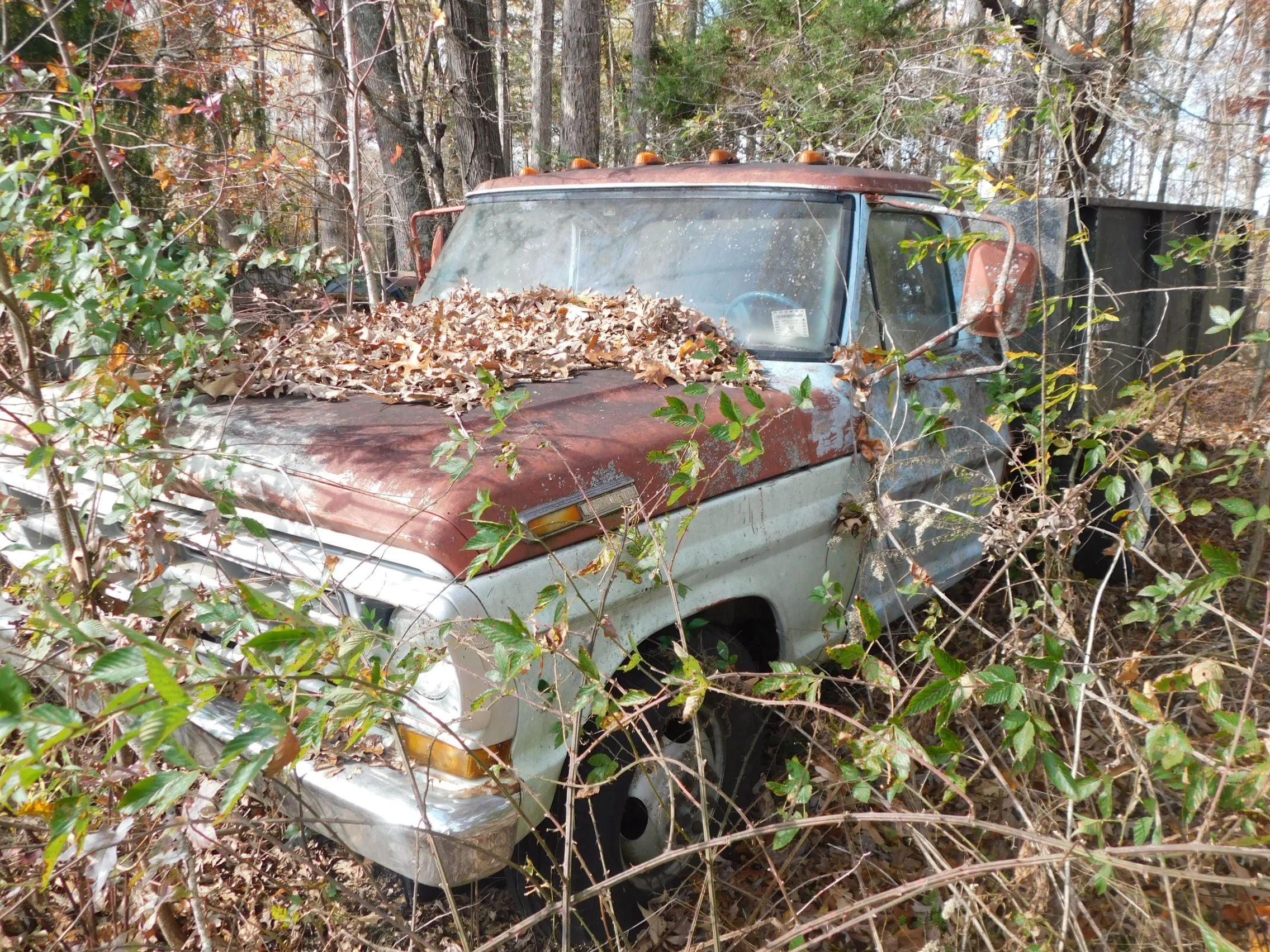 DSCN3036.JPG