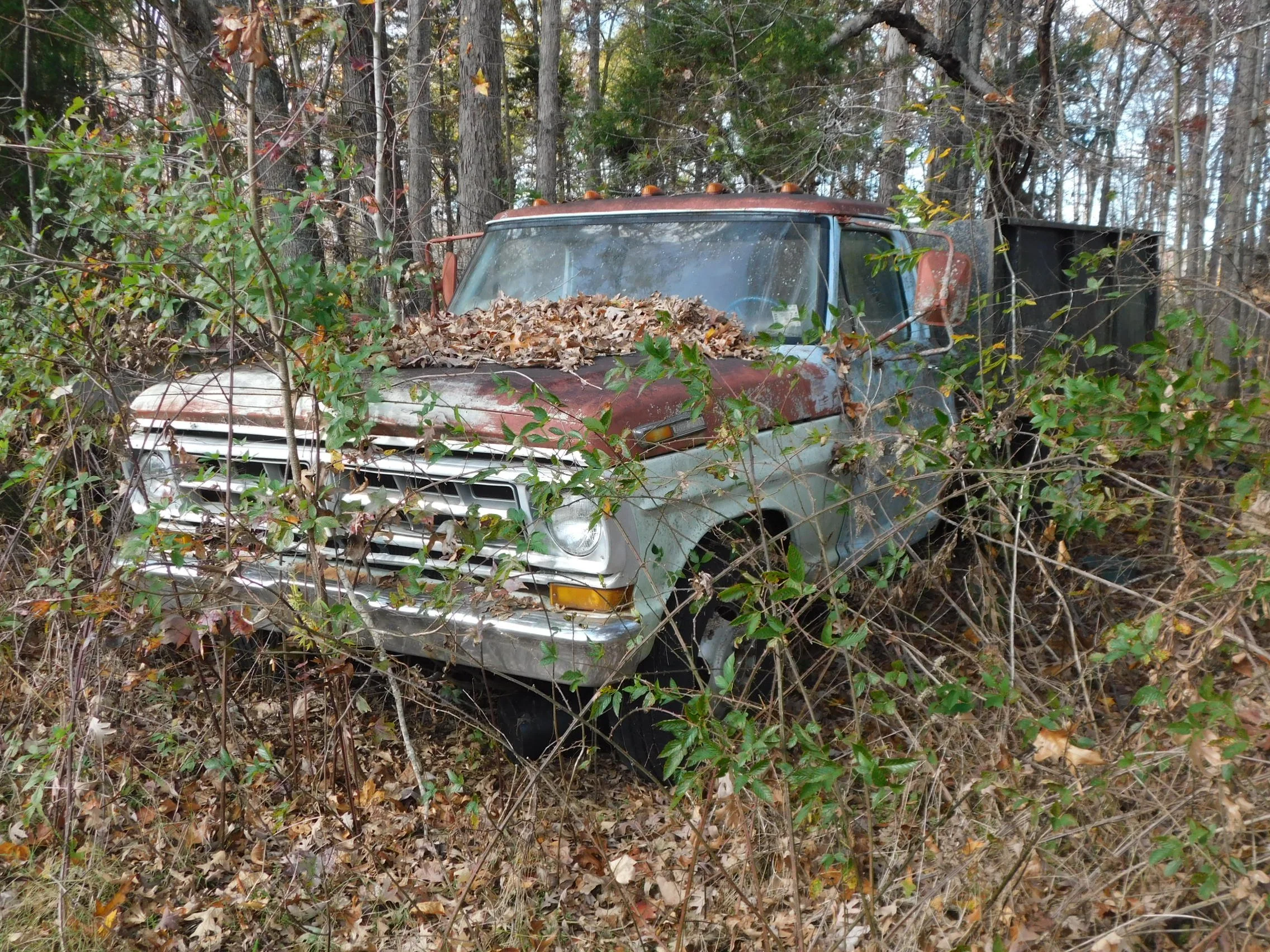 DSCN3038.JPG