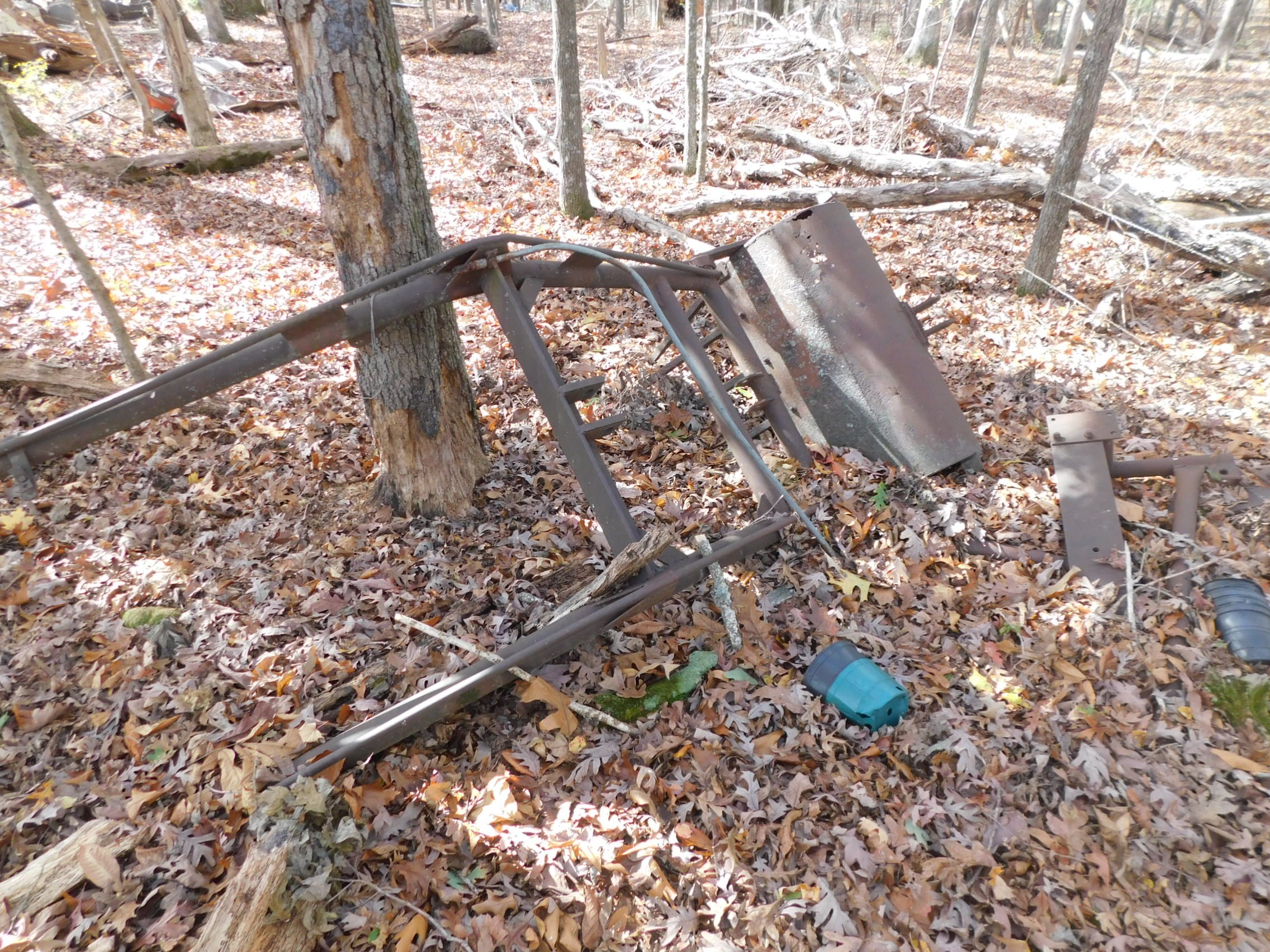 DSCN3043.JPG